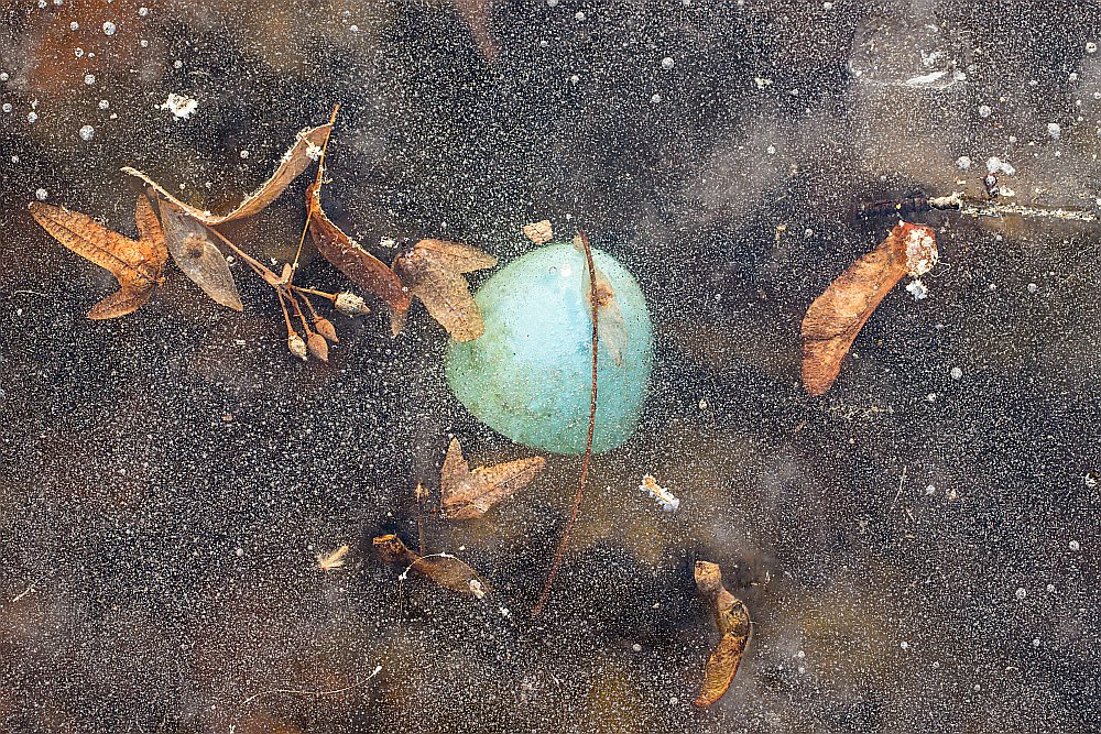 frozen ice plastic 